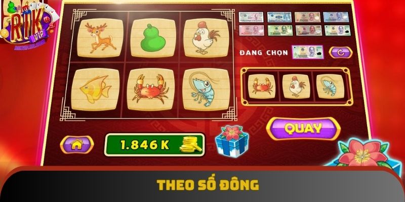 Tân binh nên cược theo số đông vì chưa có đủ kinh nghiệm Tân binh nên cược theo số đông vì chưa có đủ kinh nghiệm